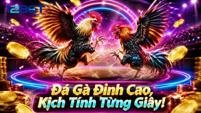 Phá Cách Quản Lý Phiên Chơi Đá Gà Trực Tuyến 12BET