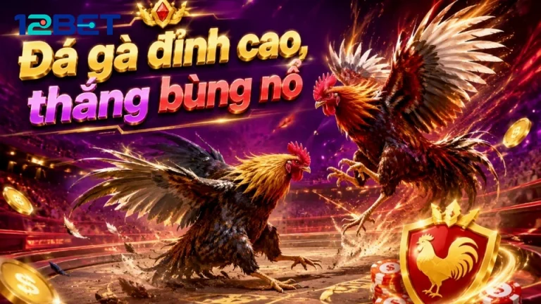 12BETVNBABY 10 Kinh Nghiệm Bản Hướng Dẫn — Cẩm Nang Đọc Thông Tin Mà Không
